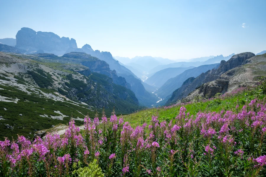 Views along the trail