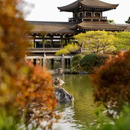 Kyoto in autumn