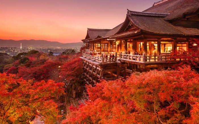 Fushimi Inari shrine gates at sunrise